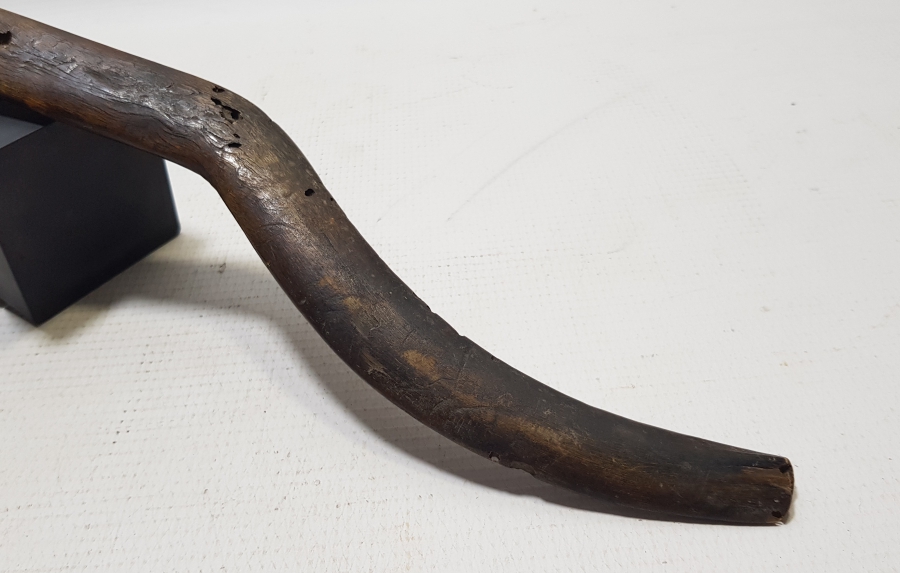 OSMANLI DÖNEMİ ÇOK NADİR BOYNUZ GÜREŞÇİ STRİGİLİSİ - YAĞ TEMİZLEME APARATI