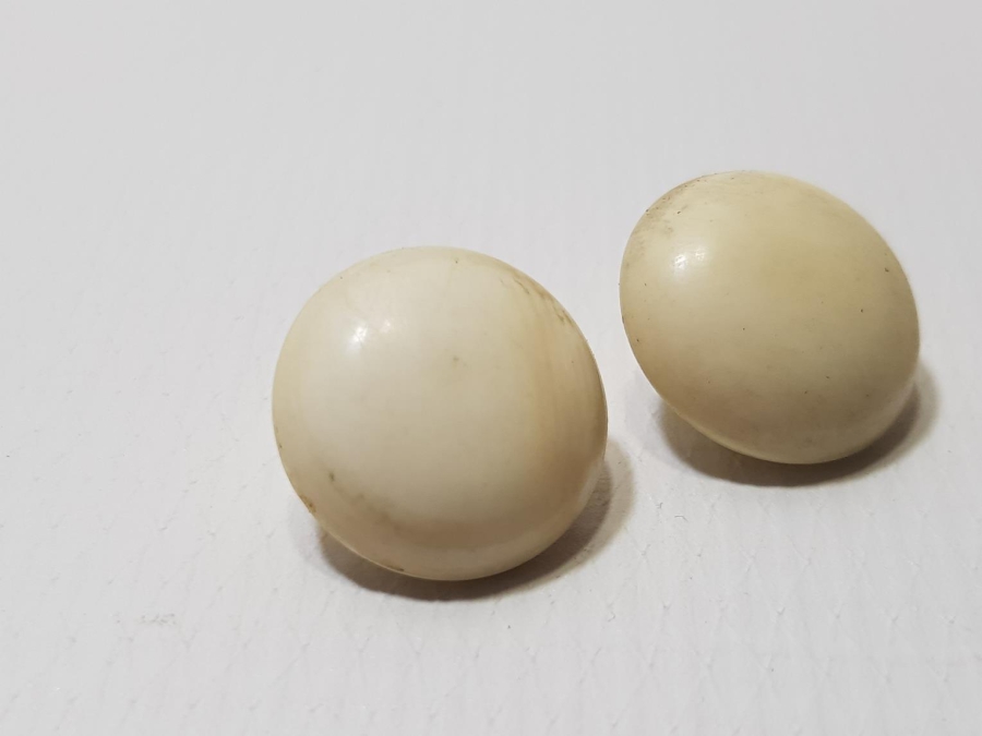 ANTİKA FİLDİŞİ KÜPE