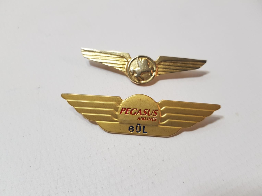 BİR ÇİFT PEGASUS AIRLINES HOSTES BRÖVESİ