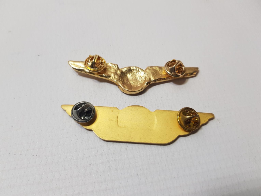 BİR ÇİFT PEGASUS AIRLINES HOSTES BRÖVESİ