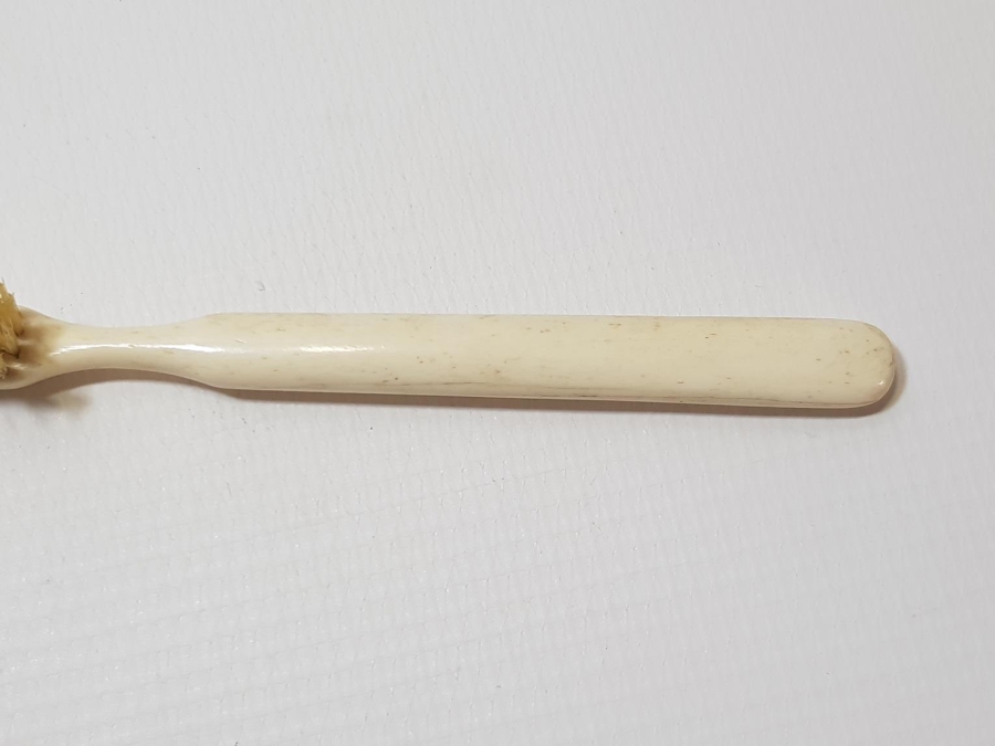 ANTİKA DİŞ FIRÇASI