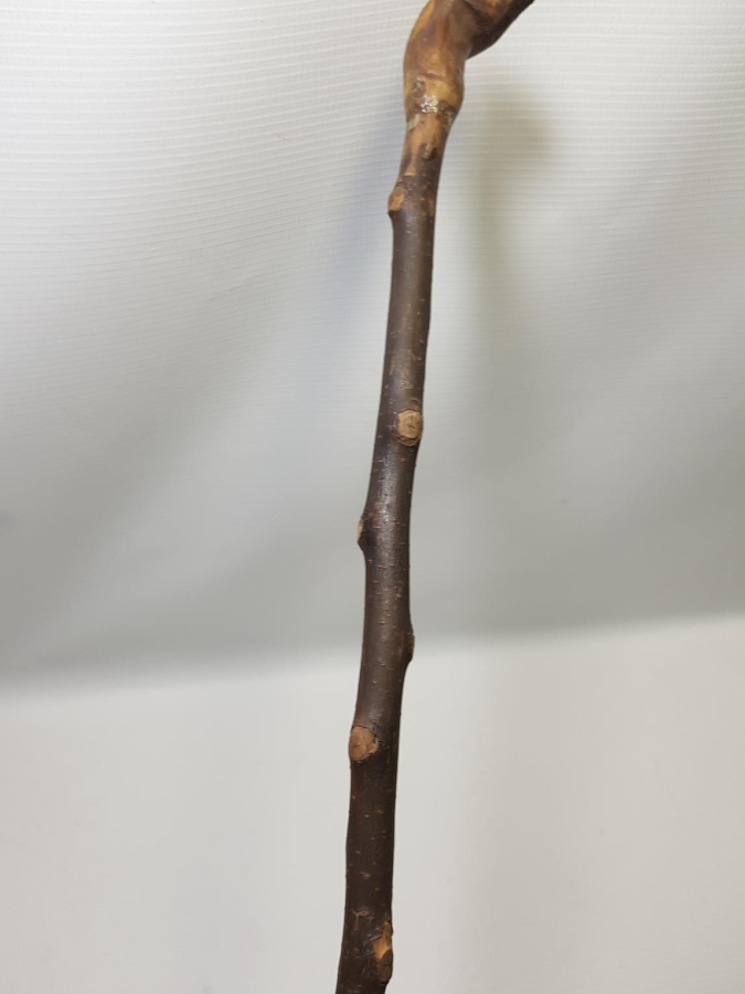 OSMANLI DÖNEMİ TEKKE İŞİ DERVİŞ ASASI