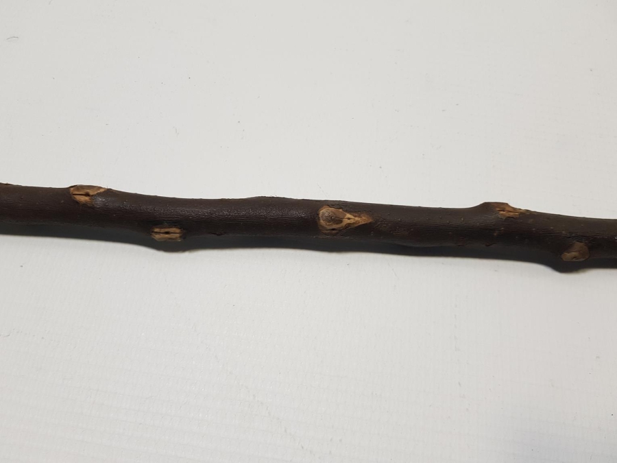 OSMANLI DÖNEMİ TEKKE İŞİ DERVİŞ ASASI