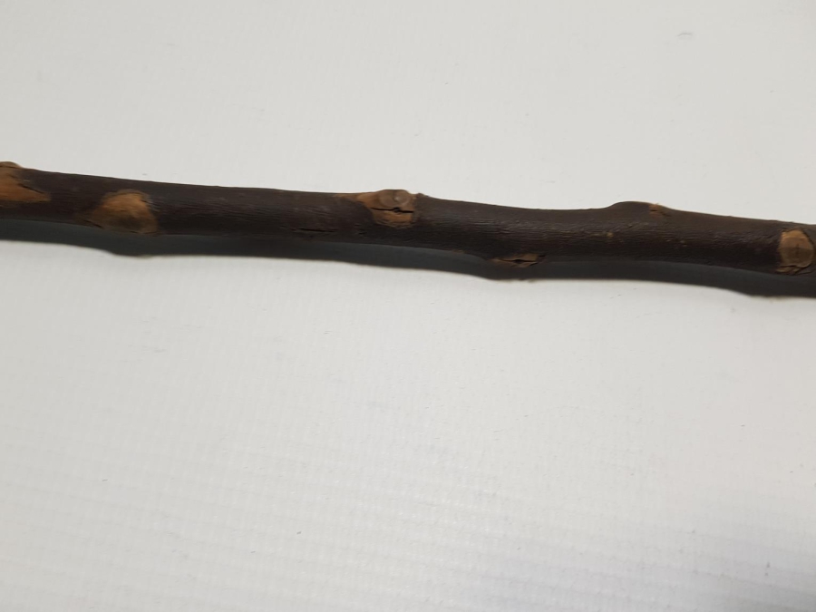 OSMANLI DÖNEMİ TEKKE İŞİ DERVİŞ ASASI