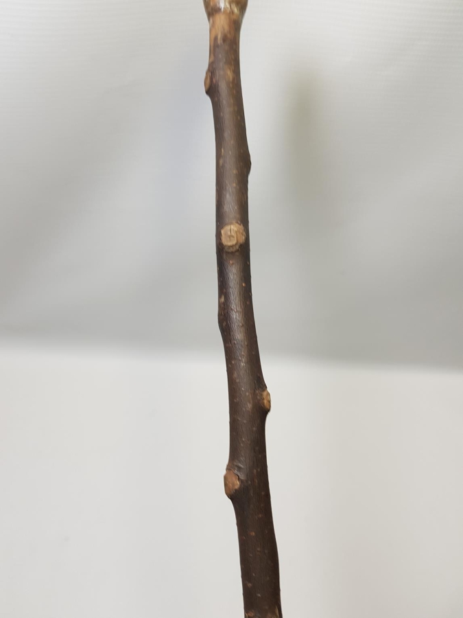 OSMANLI DÖNEMİ TEKKE İŞİ DERVİŞ ASASI