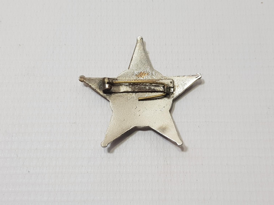 1. DÜNYA SAVAŞI MİNELİ HARP MADALYASI