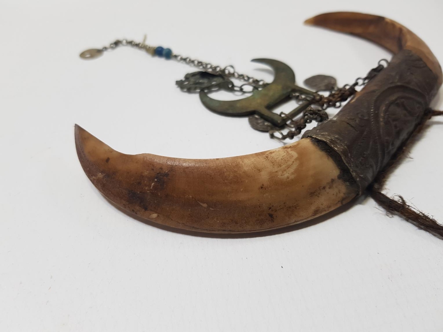 OSMANLI DÖNEMİ ŞAMAN İŞİ ÇOK NADİR HİLAL FORMLU DOMUZ DİŞİ AT SÜSÜ