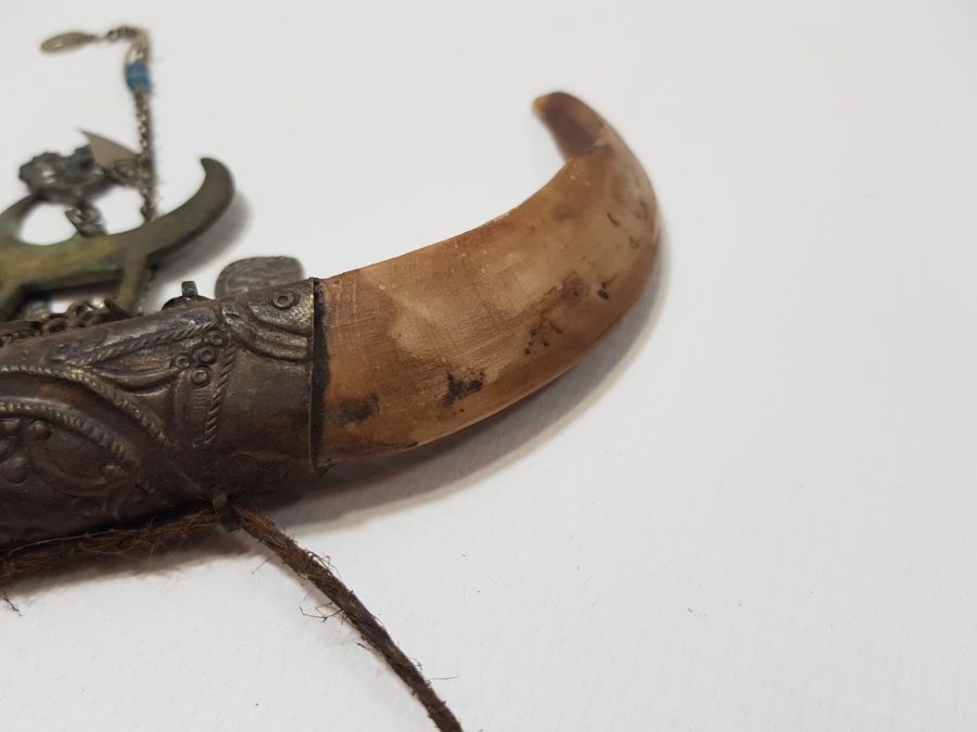 OSMANLI DÖNEMİ ŞAMAN İŞİ ÇOK NADİR HİLAL FORMLU DOMUZ DİŞİ AT SÜSÜ