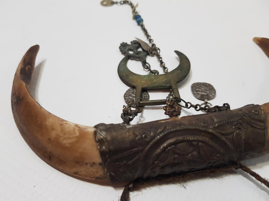 OSMANLI DÖNEMİ ŞAMAN İŞİ ÇOK NADİR HİLAL FORMLU DOMUZ DİŞİ AT SÜSÜ