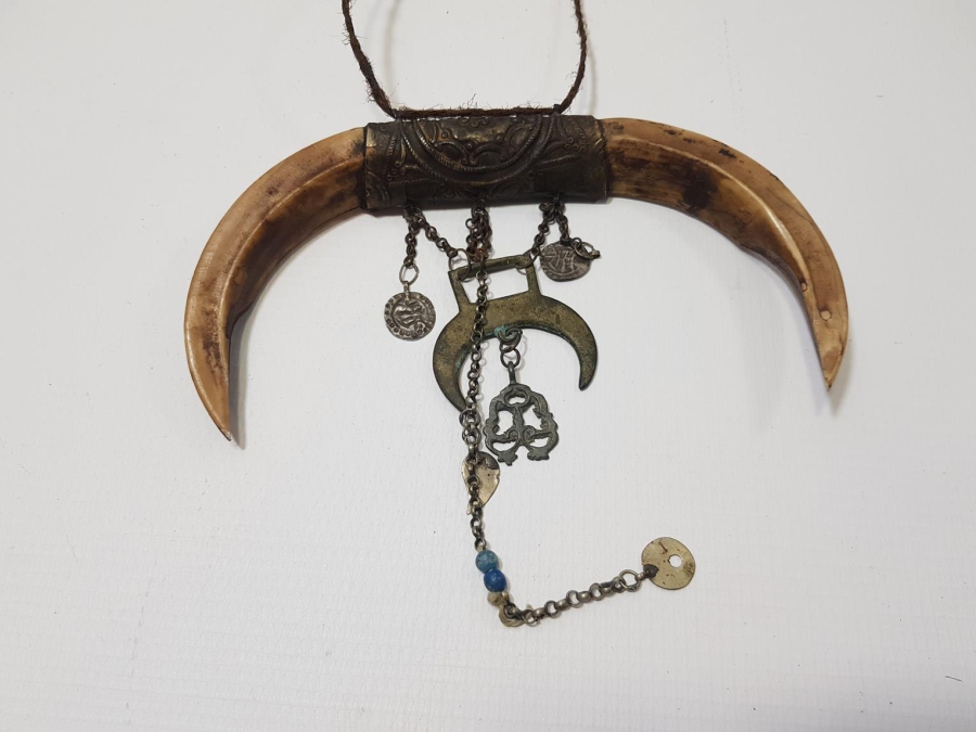 OSMANLI DÖNEMİ ŞAMAN İŞİ ÇOK NADİR HİLAL FORMLU DOMUZ DİŞİ AT SÜSÜ