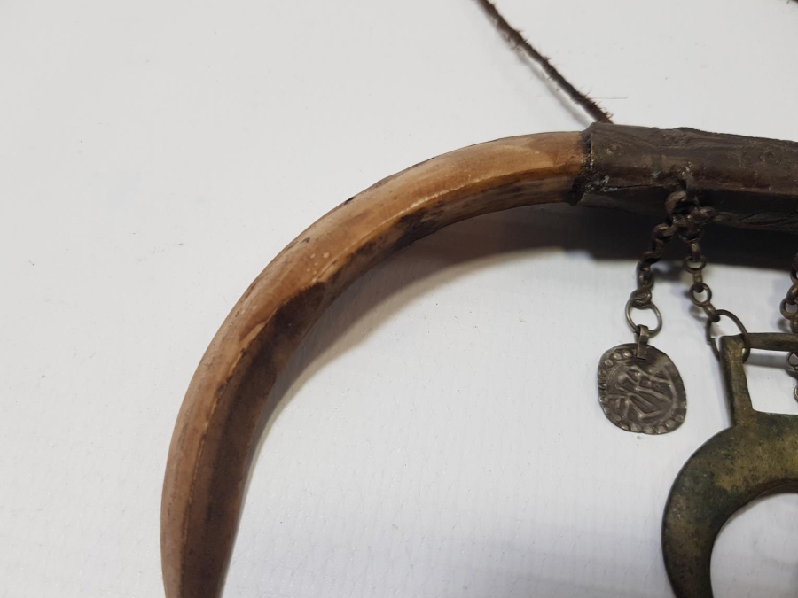 OSMANLI DÖNEMİ ŞAMAN İŞİ ÇOK NADİR HİLAL FORMLU DOMUZ DİŞİ AT SÜSÜ