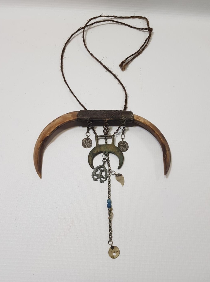 OSMANLI DÖNEMİ ŞAMAN İŞİ ÇOK NADİR HİLAL FORMLU DOMUZ DİŞİ AT SÜSÜ