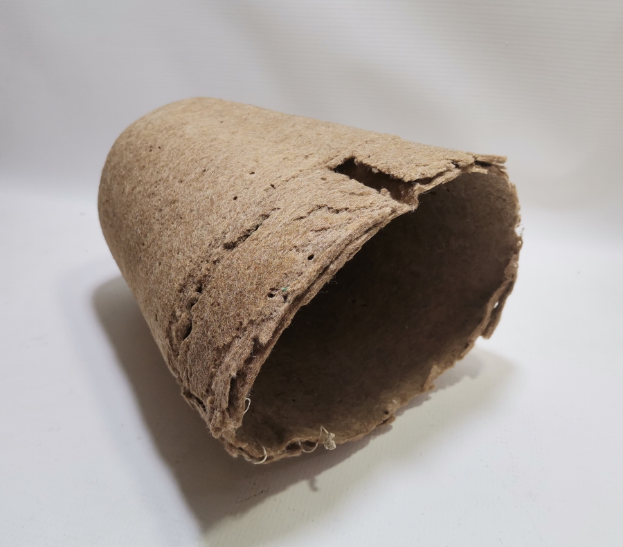 OSMANLI DÖNEMİ ÇOK NADİR MEVLEVİ SİKKESİ - SARIĞI