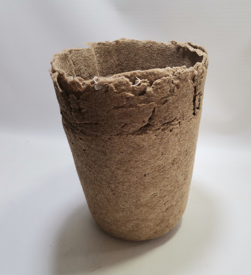 OSMANLI DÖNEMİ ÇOK NADİR MEVLEVİ SİKKESİ - SARIĞI