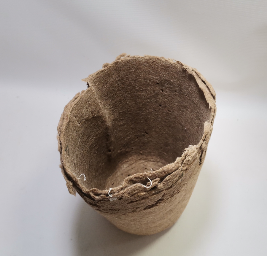 OSMANLI DÖNEMİ ÇOK NADİR MEVLEVİ SİKKESİ - SARIĞI