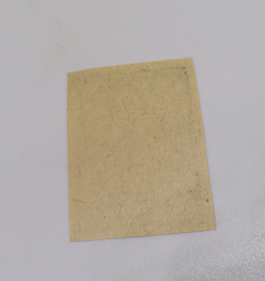 ESAT PAŞA'NIN ARNAVUTLUK DEMİR YOLLARINI YAPARKEN BASTIRDIĞI NADİR 10 PARA