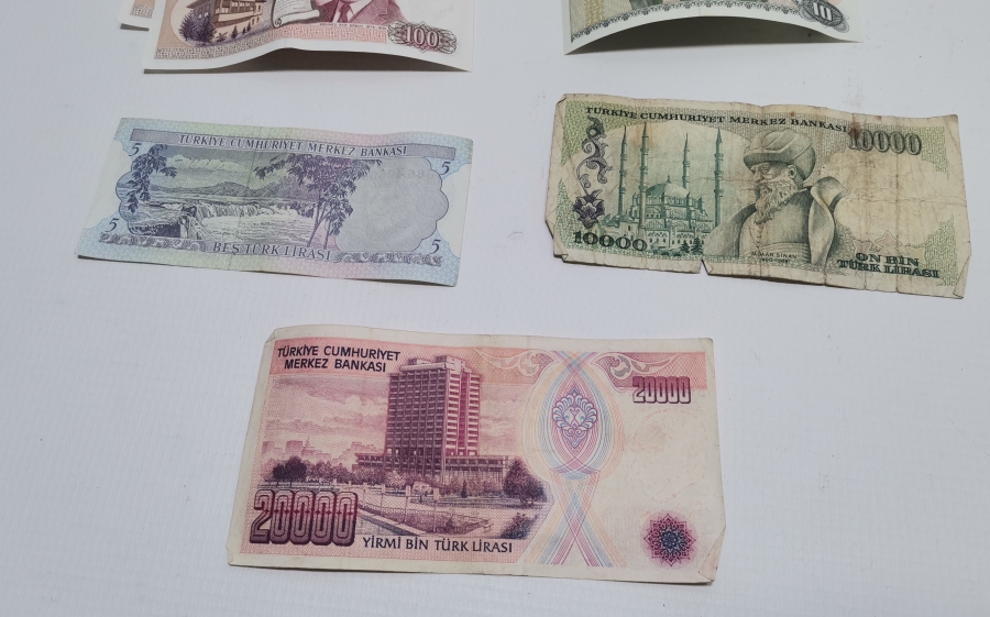 ANTİKA KAĞIT PARA LOTU