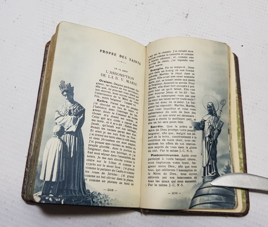 1906 TARİHLİ RENKLİ BASKI ALTIN VARAKLI CİLDİNDE FRANSIZCA İNCİL