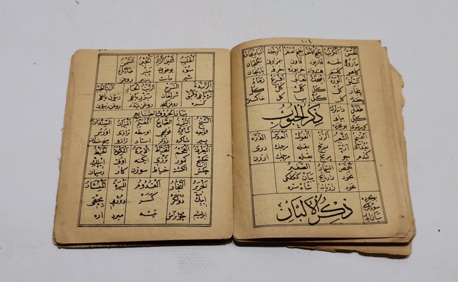 OSMANLI DÖNEMİ TAŞ BASKI KİTAB-I TERCÜMAN-I TERAKKİ