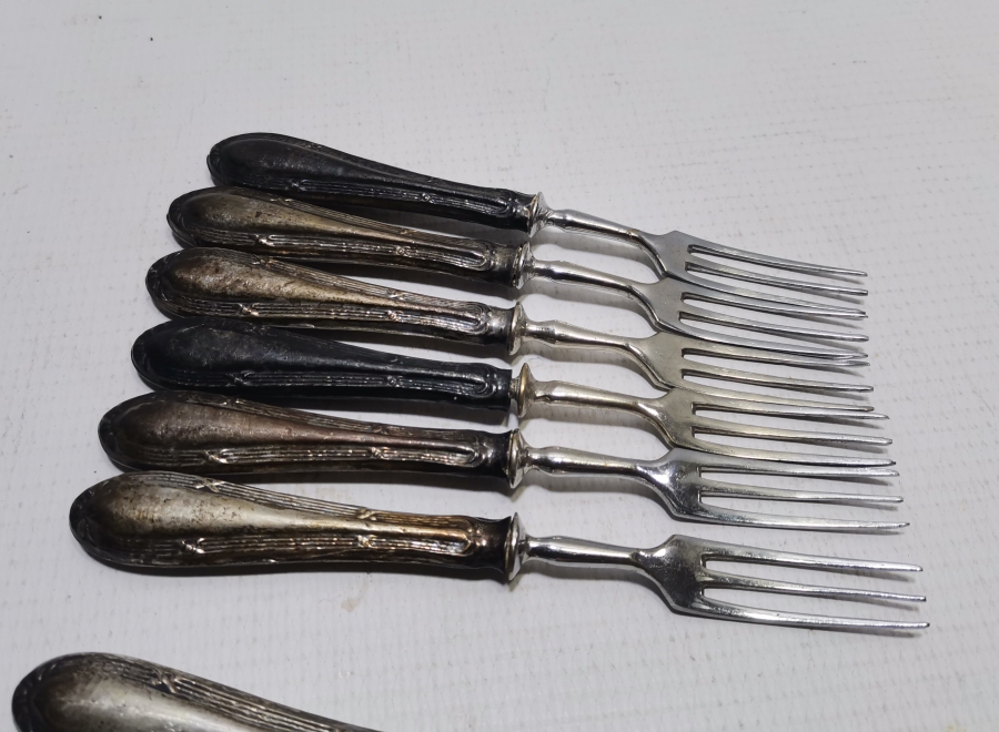 GÜMÜŞ SAPLI ALTILI ÇATAL BIÇAK SETİ