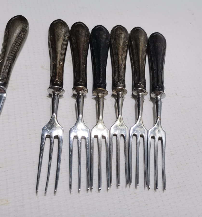 GÜMÜŞ SAPLI ALTILI ÇATAL BIÇAK SETİ