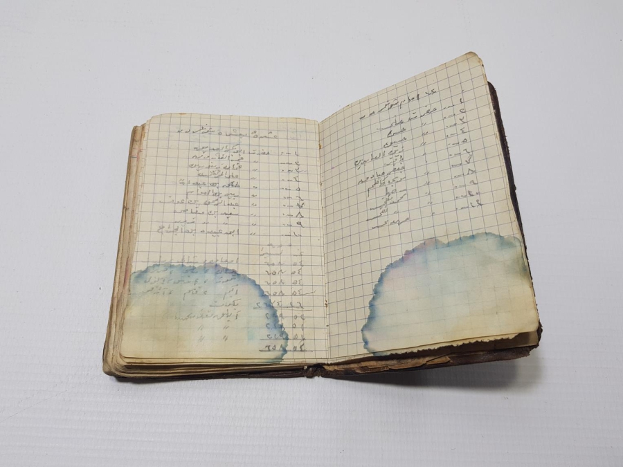 TÜRKİYE CUMHURİYETİNİN İLK PASAPORTU