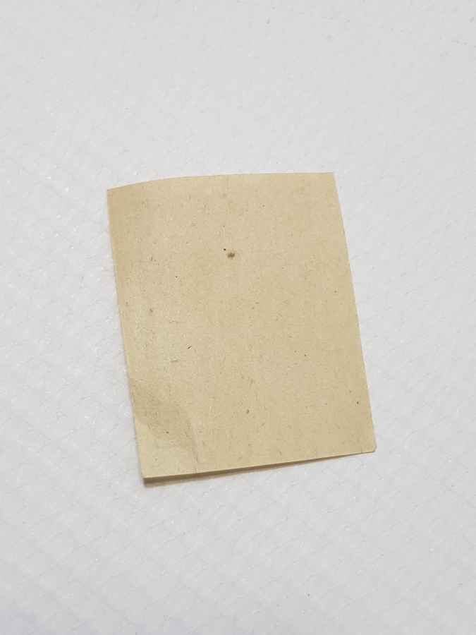 ESAT PAŞA'NIN ARNAVUTLUK DEMİR YOLLARINI YAPARKEN BASTIRDIĞI NADİR 10 PARA