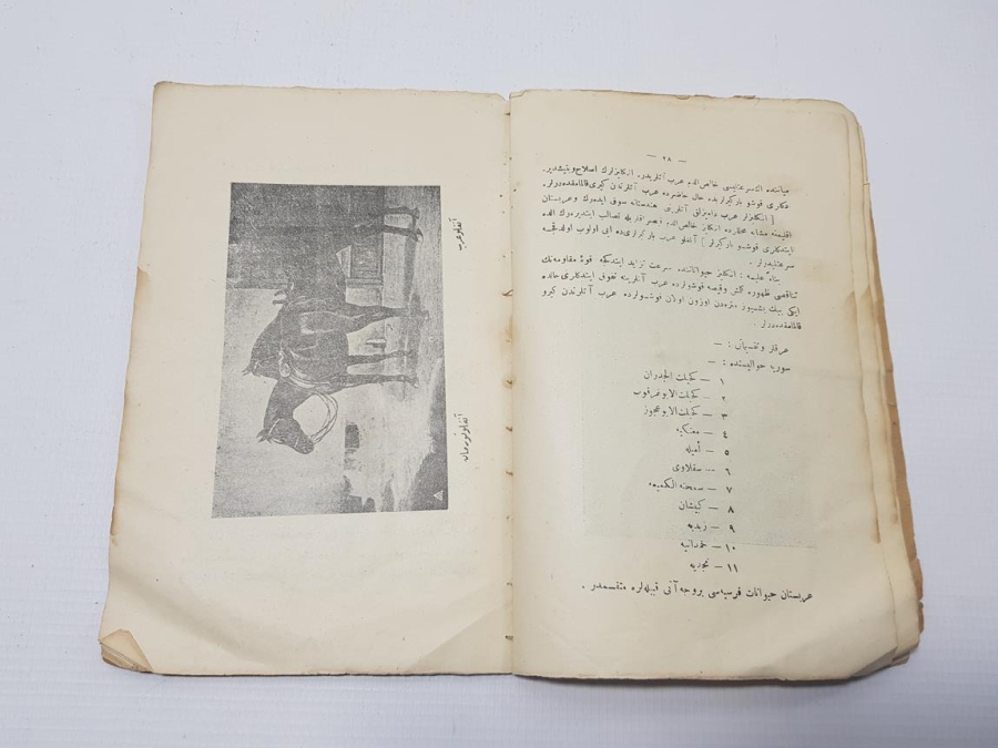 AT YARIŞLARIYLA İLGİLİ OSMANLICA KİTAP