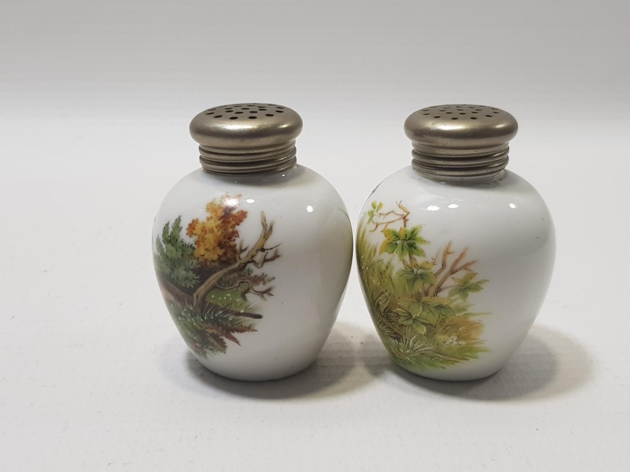 ANTİKA PORSELEN TUZLUK VE BAHARATLIK TAKIMI