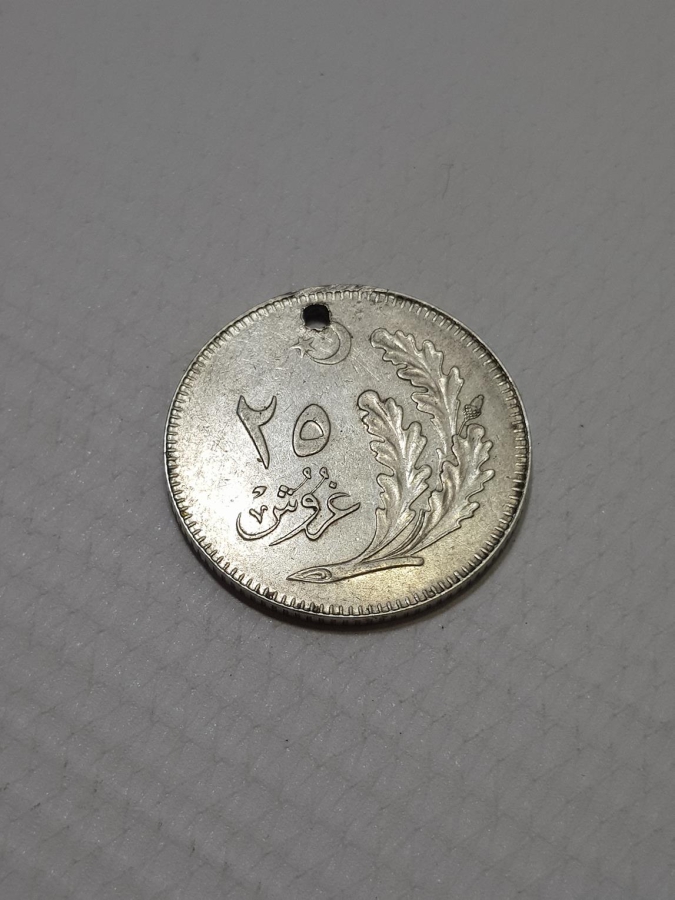 TÜRKİYE CUMHURİYETİ'NİN İLK 25 KURUŞU