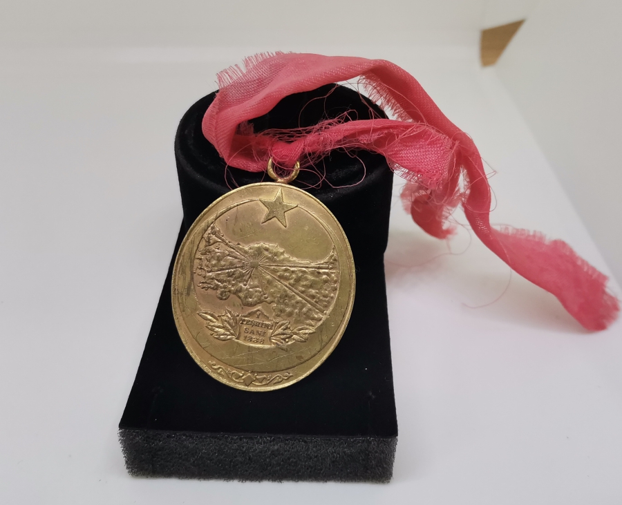 İSTİKLAL SAVAŞI MADALYASI - İSTİKLAL MADALYASI