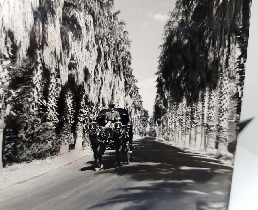 CUMHURİYET BAŞLARI SİYAH-BEYAZ MERSİN FOTOĞRAF