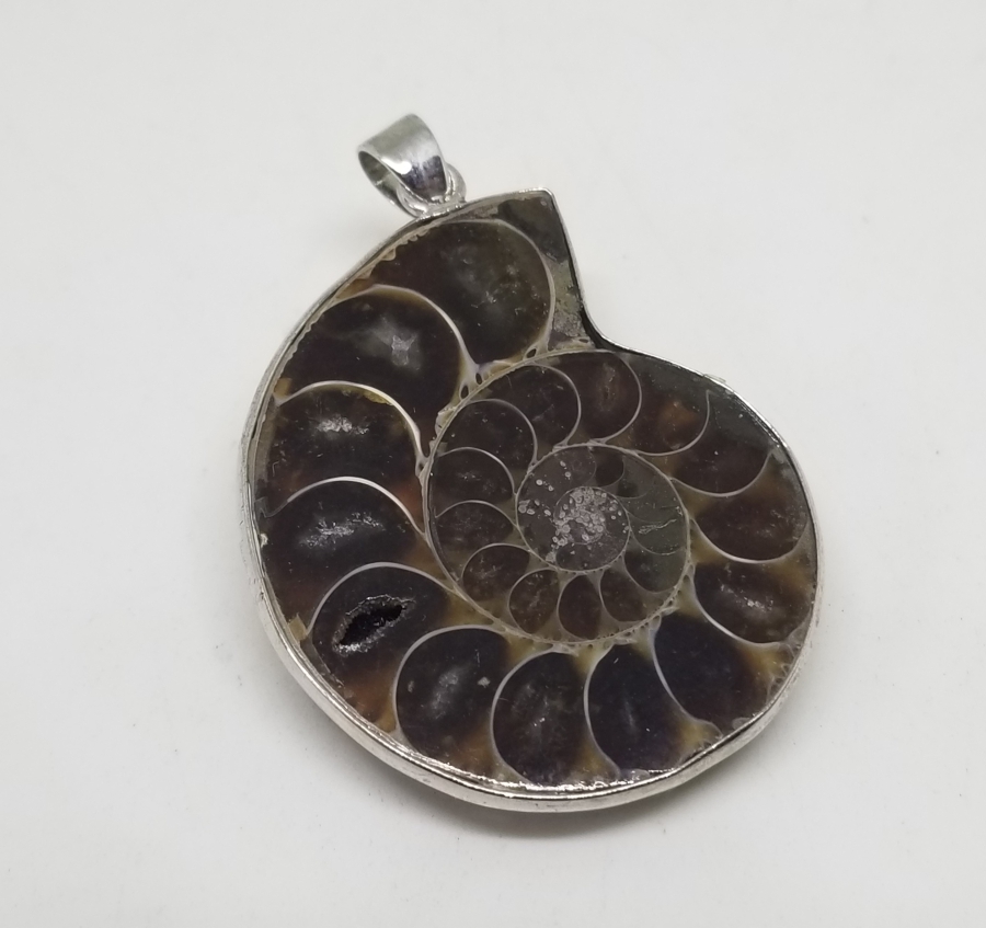 ANTİKA SALYANGOZ FOSİLİ KOLYE UCU