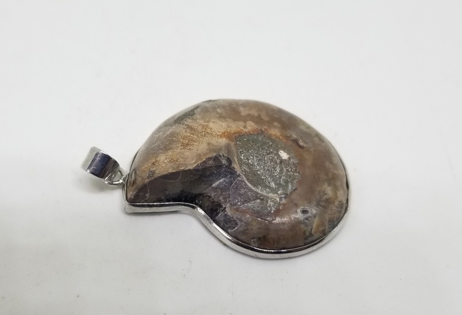 ANTİKA SALYANGOZ FOSİLİ KOLYE UCU