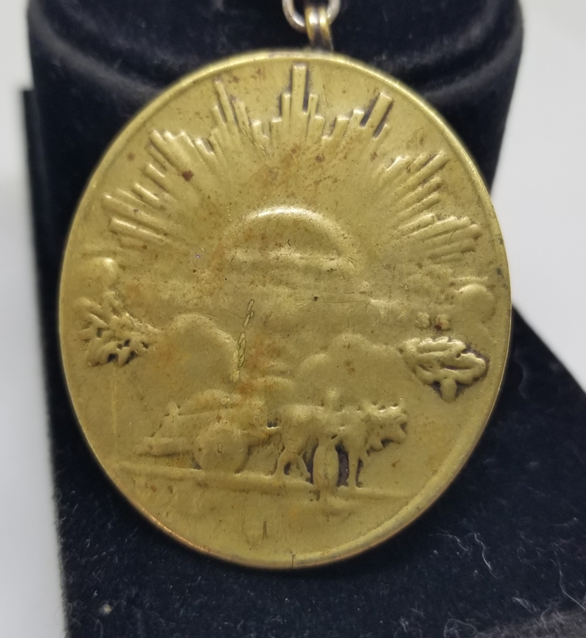 İSTİKLAL SAVAŞI MADALYASI - İSTİKLAL MADALYASI