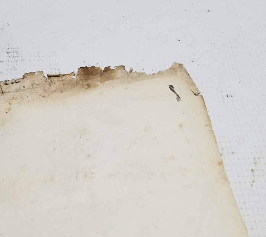 ABDÜLAZİZ HAN DÖNEMİ SARAYDAN VERİLMİŞ EL YAZMA NADİR SENEDİ HAKANİ