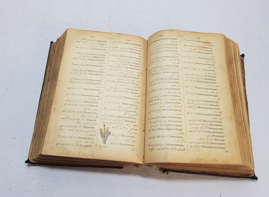 OSMANLI DÖNEMİ FRANSIZCA - OSMANLICA DEV BOY SÖZLÜK