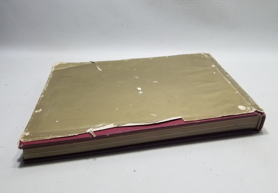 TÜRK SİLAHLI KUVVETLERİ ATATÜRK'ÜN DOĞUMUNUN 100. YILINA ÖZEL HAZIRLADIĞI ALBÜM