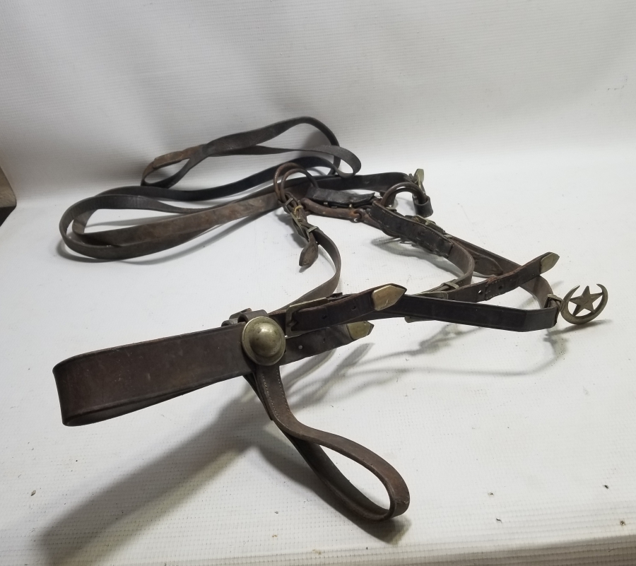 AY YILDIZ APLİĞİYLE TAM TAKIM SÜVARİ KOŞUMU