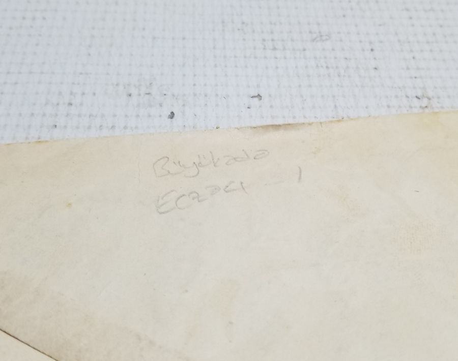 ECZACI ALİ BEY'E VERİLEN ALTIN İMTİYAZ MADALYASININ EMİR BERATI VE ZARFI