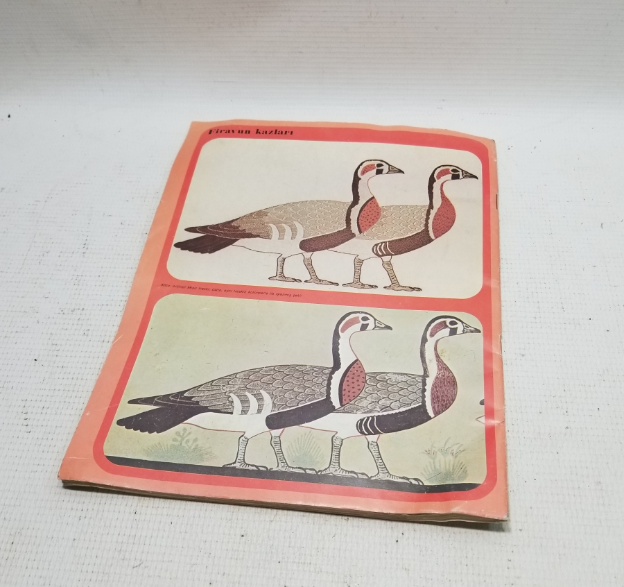 EL ÖRGÜSÜ İSİMLİ DİKİŞ NAKIŞ KİTABI