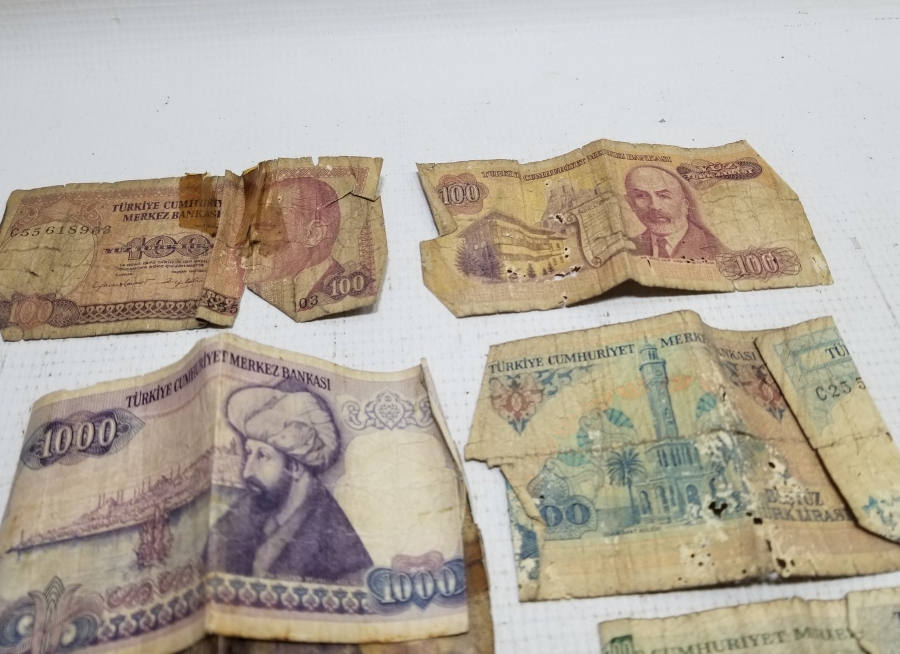 ANTİKA KAĞIT PARA LOTU