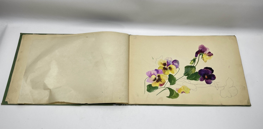 OSMANLI DÖNEMİ DEV BOYDA ÜZERİ OSMANLI DEVLET ARMALI RESİM DEFTERİ