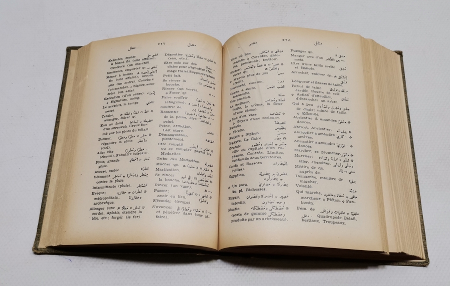 ANTİKA ARAPÇA FRANSIZCA SÖZLÜK