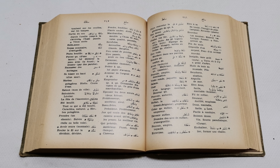 ANTİKA ARAPÇA FRANSIZCA SÖZLÜK