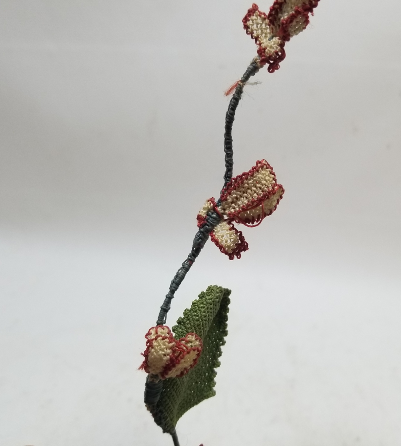 OSMANLI DÖNEMİ İĞNE OYALI KOZAK YÖRESİ NADİR GELİN ÇİÇEĞİ