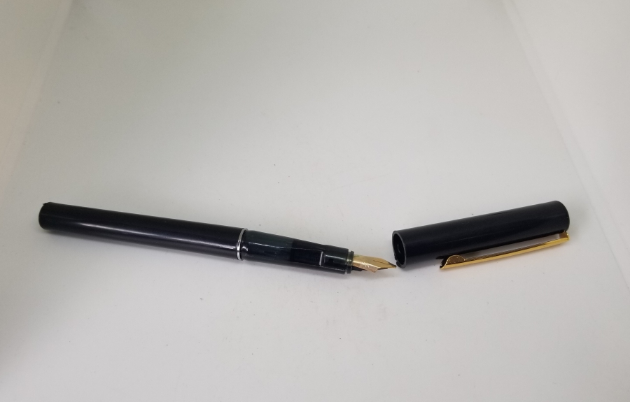 ÇİL KONDİSYONDA DOLMA KALEM