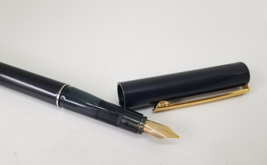 ÇİL KONDİSYONDA DOLMA KALEM