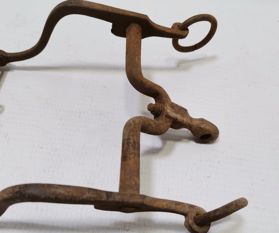 OSMANLI DÖNEMİ SÜVARİ AT GEMİ