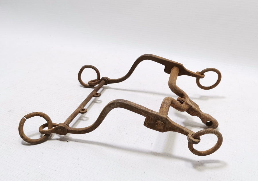 OSMANLI DÖNEMİ SÜVARİ AT GEMİ